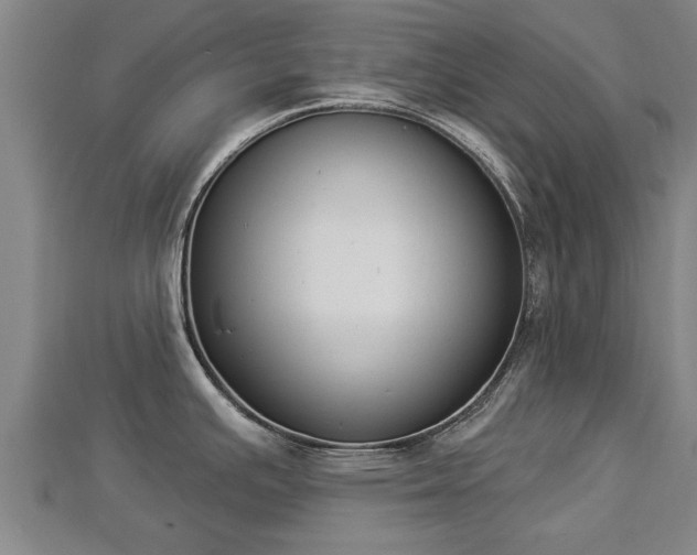 X0000112861391200908281554