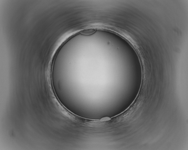 X0000112861392200908281554