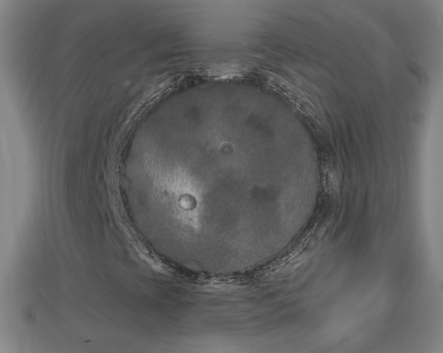 X0000112861393200908281553