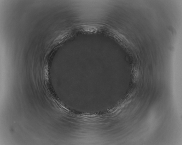 X0000112861394200908281553