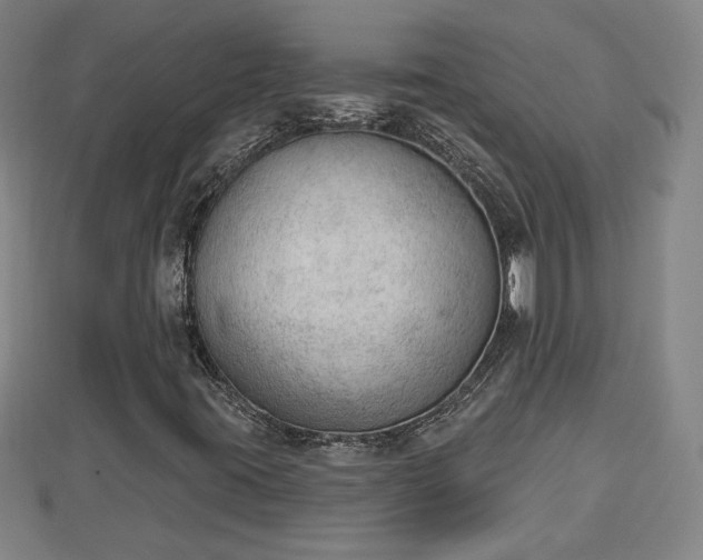 X0000112861395200908281553