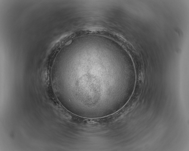 X0000112861398200908281554