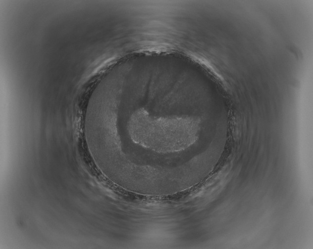 X0000112861399200908281554