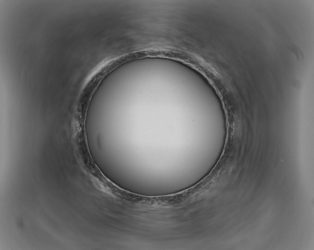 X0000112861400200908281554