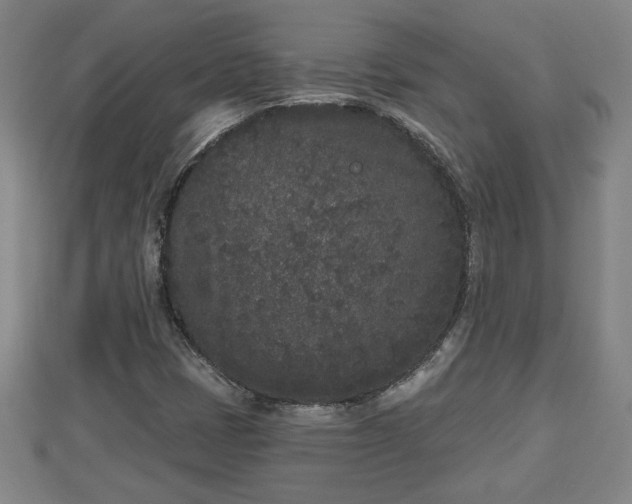 X0000112861401200908281554