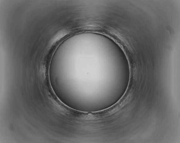 X0000112861402200908281554