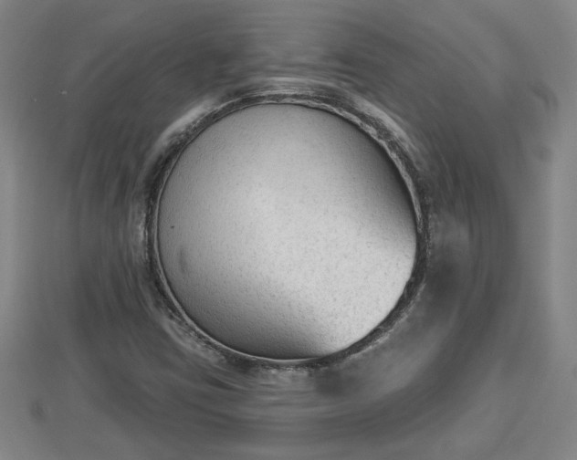 X0000112861403200908281554