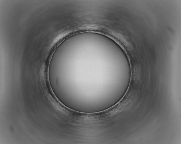 X0000112861404200908281554
