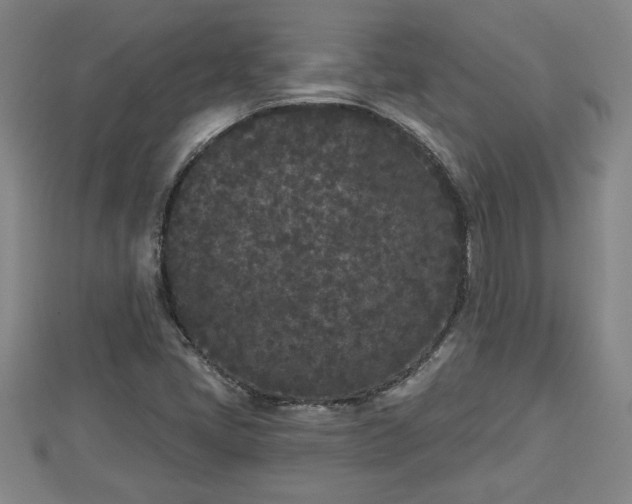 X0000112861405200908281554