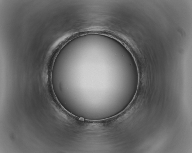 X0000112861406200908281554