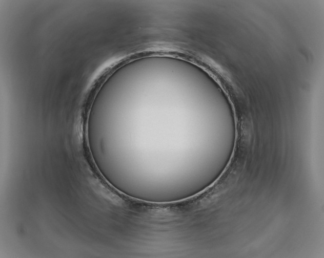X0000112861408200908281554
