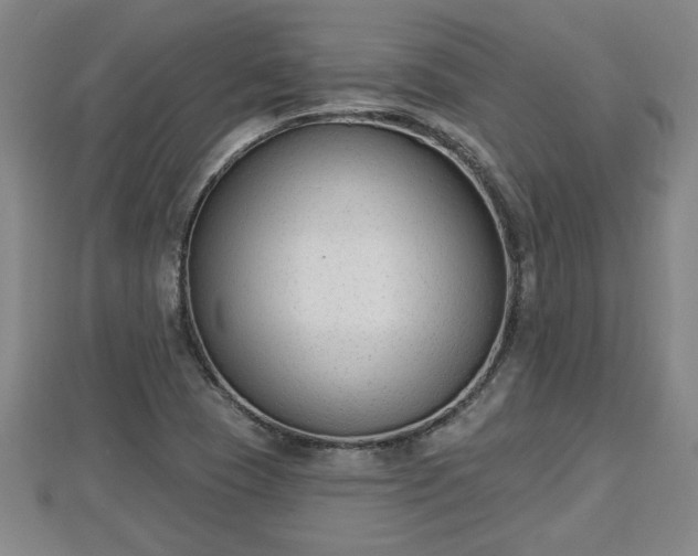 X0000112861409200908281554