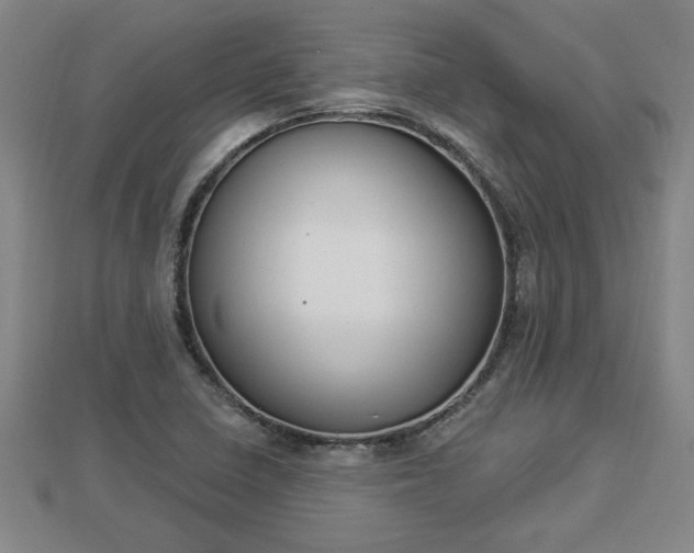 X0000112861410200908281554