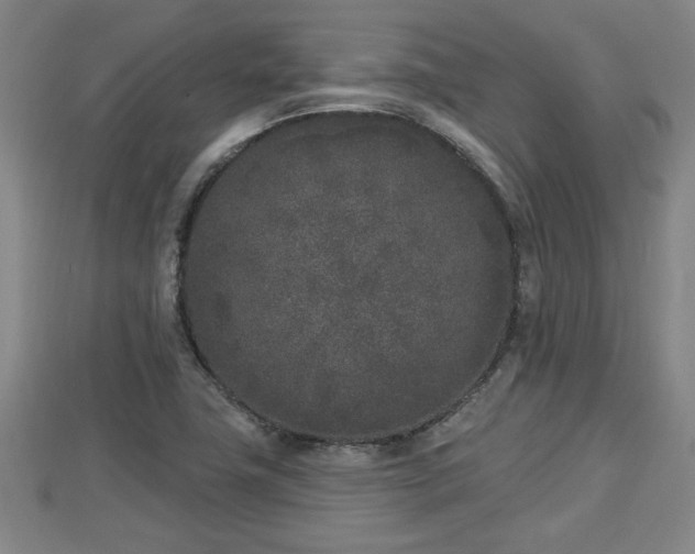 X0000112861411200908281554