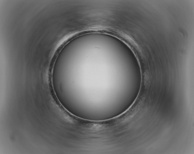 X0000112861412200908281554