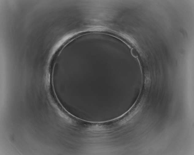 X0000112861414200908281554