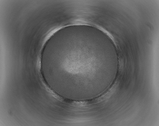 X0000112861415200908281554