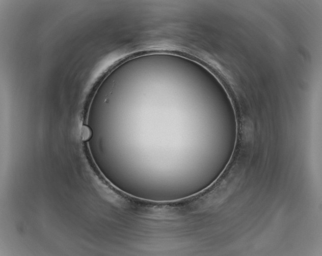 X0000112861416200908281554