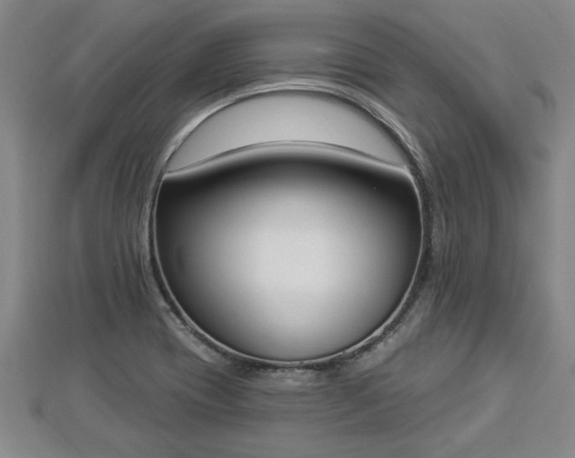 X0000112861417200908281554