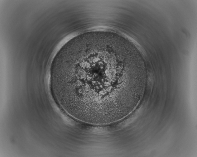 X0000112861418200908281554
