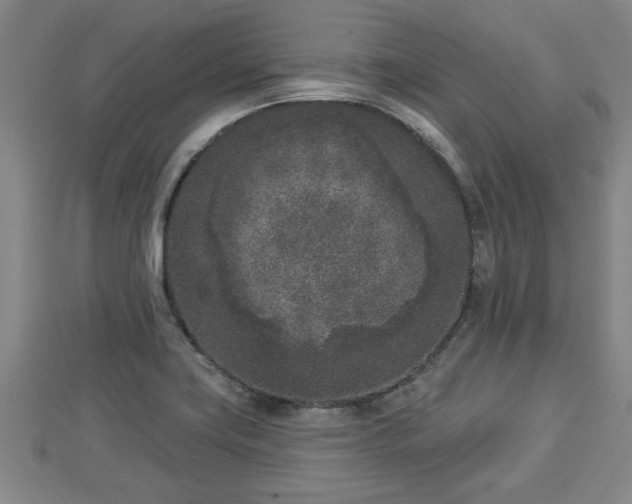 X0000112861419200908281554