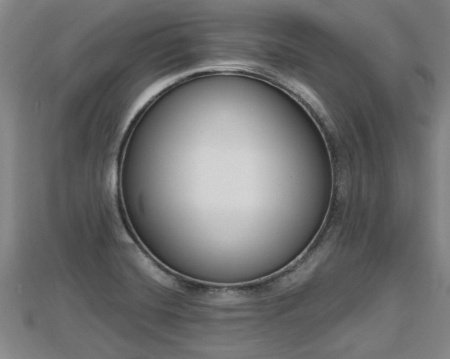 X0000112861420200908281554