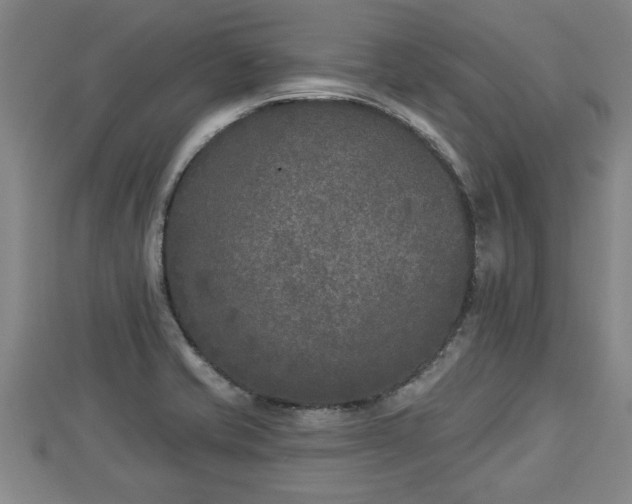 X0000112861421200908281554