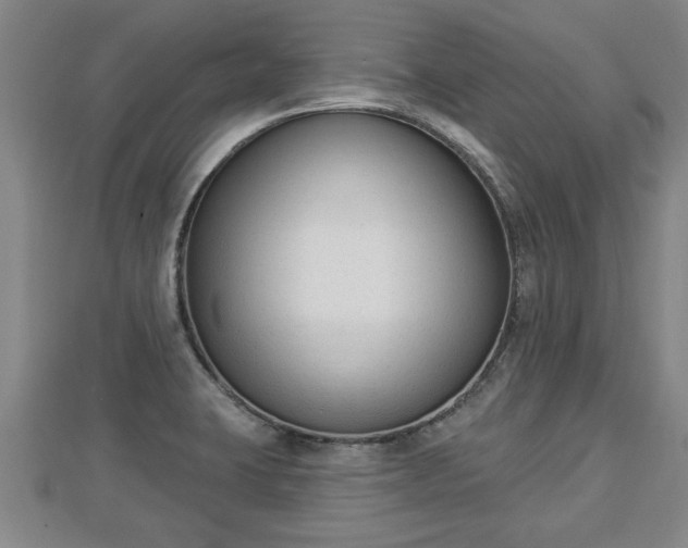 X0000112861423200908281554