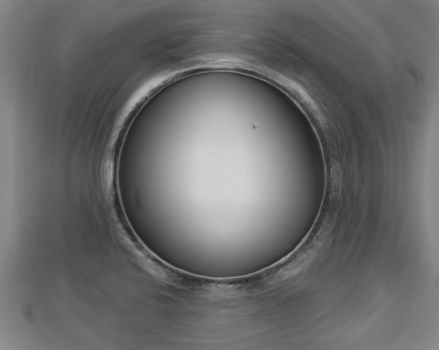X0000112861424200908281554