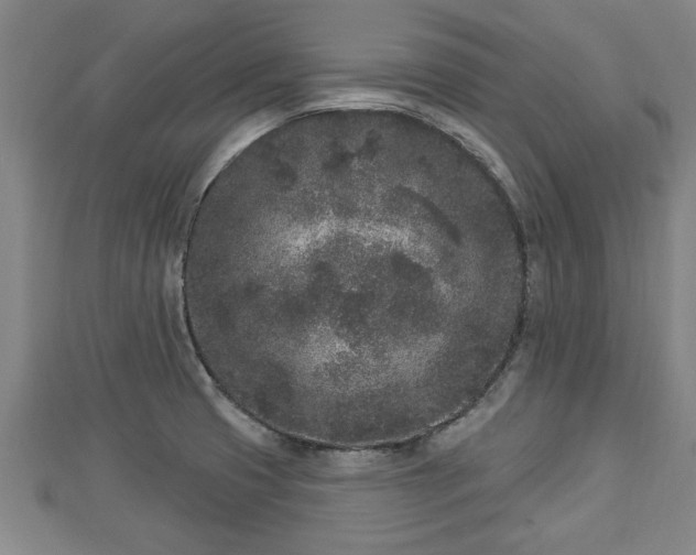 X0000112861425200908281554