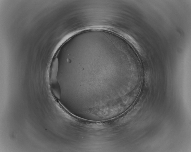 X0000112861428200908281554