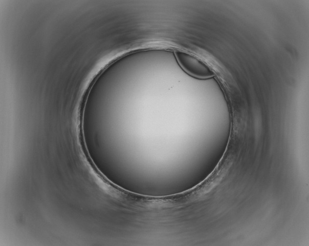 X0000112861430200908281554