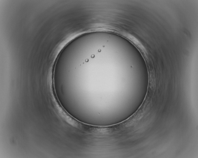 X0000112861431200908281554