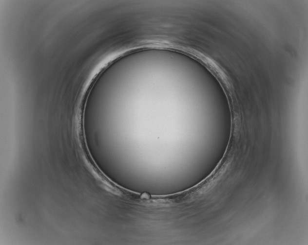 X0000112861432200908281554