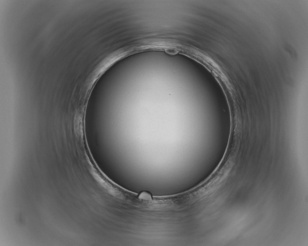 X0000112861433200908281554