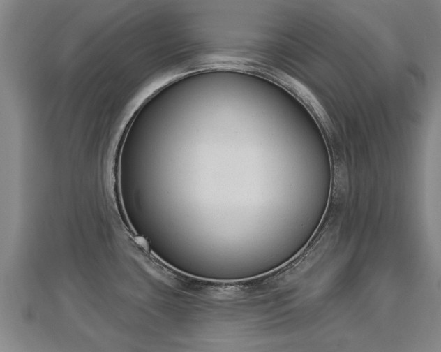 X0000112861435200908281554