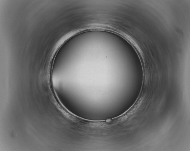 X0000112861437200908281554
