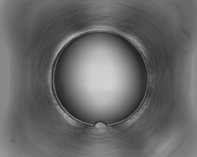 X0000112861438200908281554
