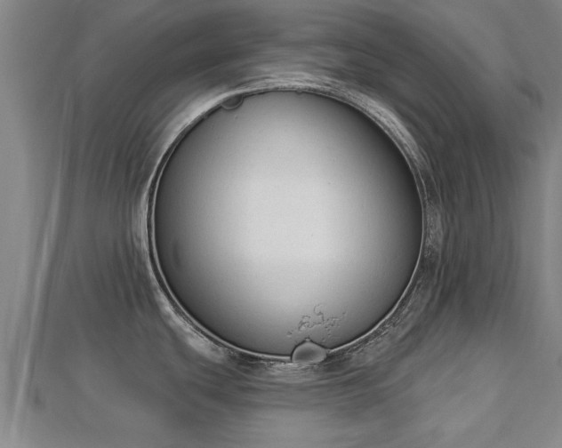 X0000112861439200908281554