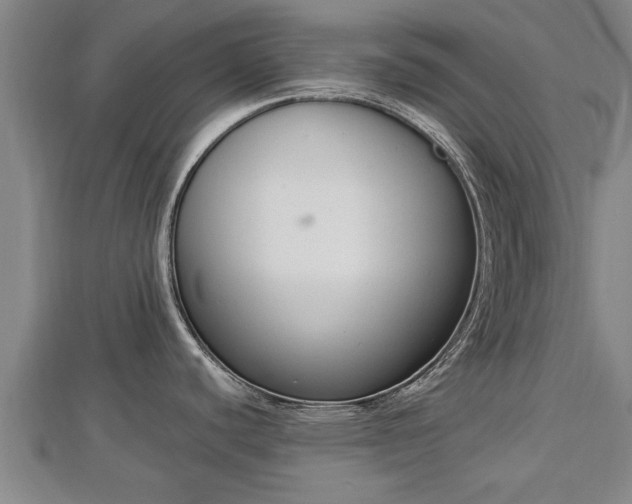 X0000112861440200908281554