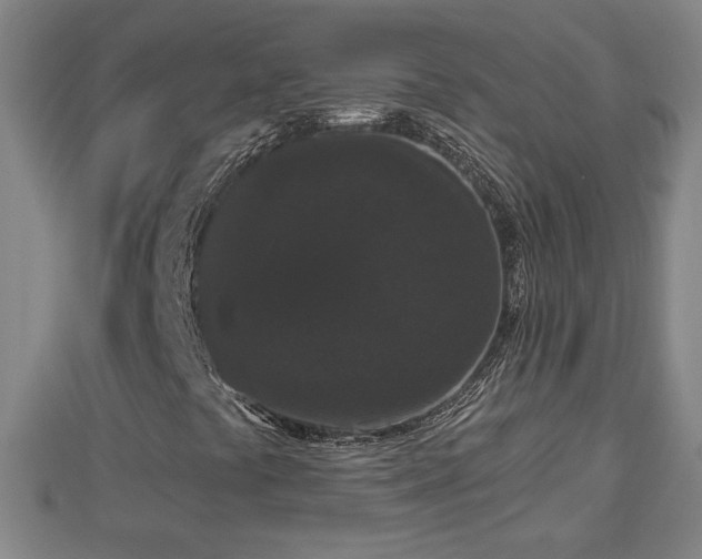 X0000112861441200908281553