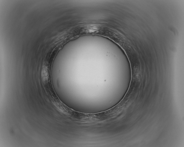 X0000112861442200908281553
