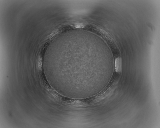 X0000112861443200908281553