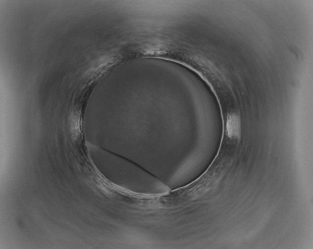 X0000112861444200908281553