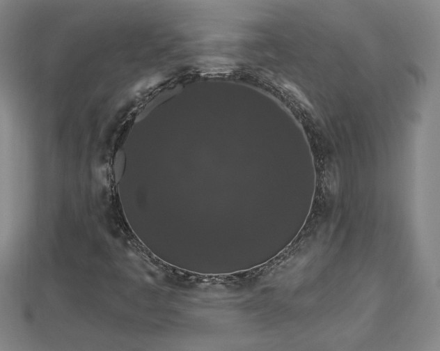 X0000112861445200908281553