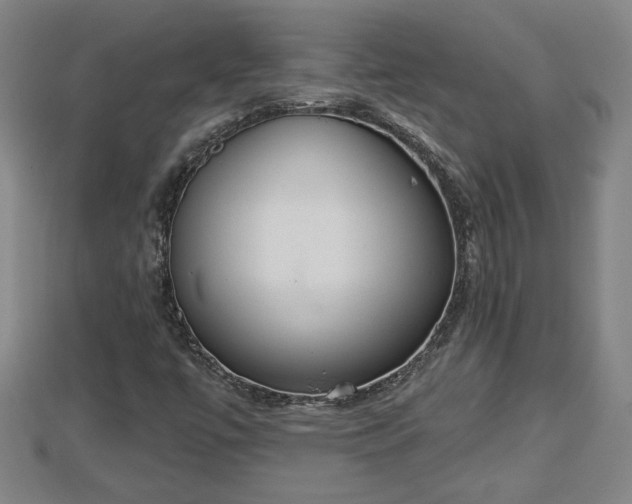 X0000112861447200908281553