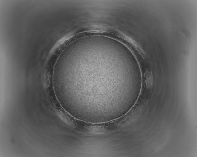 X0000112861448200908281553