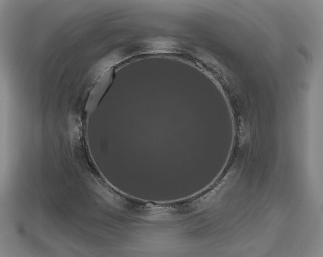 X0000112861449200908281553