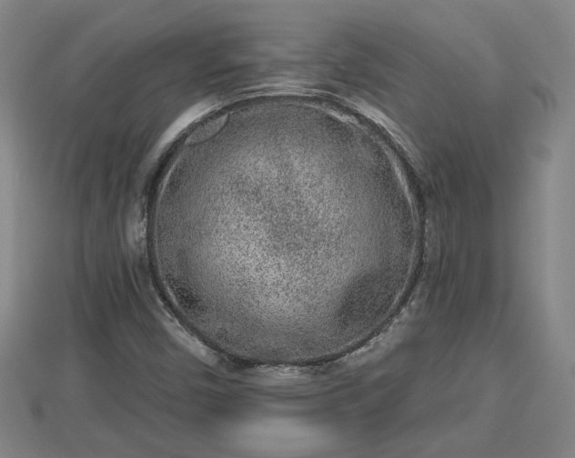 X0000112861450200908281553
