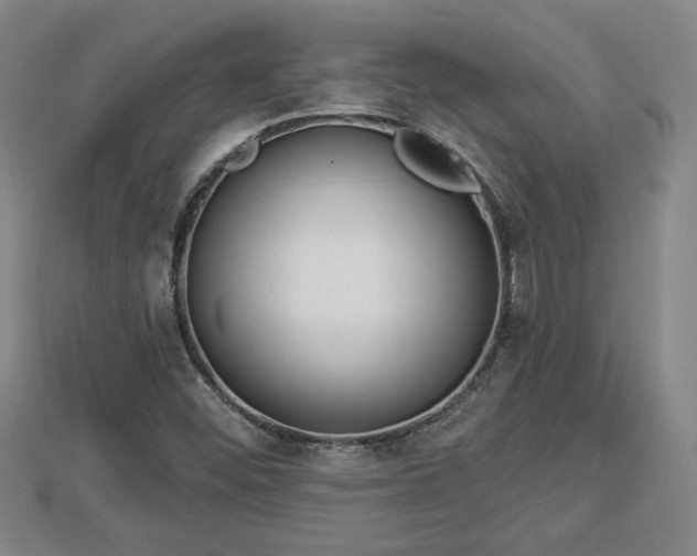 X0000112861452200908281553